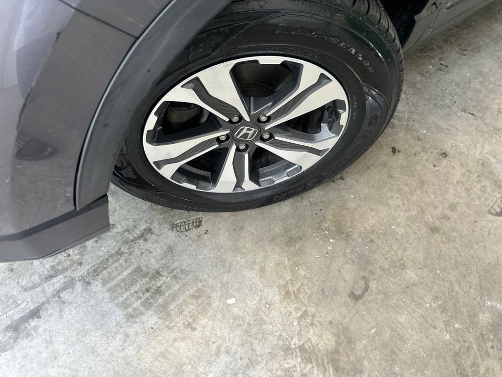 Used 2019 Gray Honda LX image 2