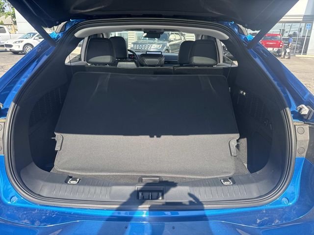 Used 2025 Blue Metallic Ford Premium image 5