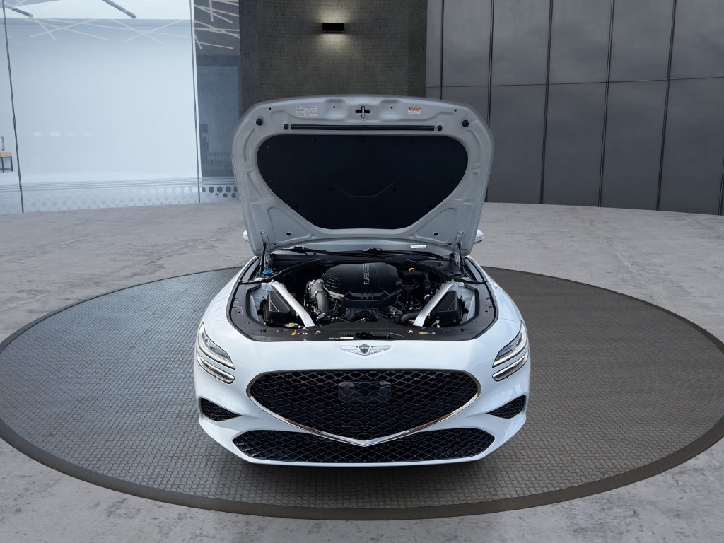 Used 2022 White Genesis 3.3T image 18
