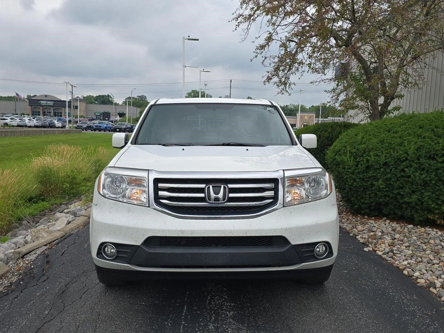 Used 2015 Taffeta White Honda EX-L image 2