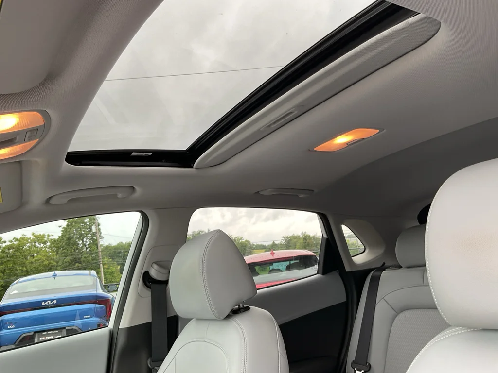 Used 2019 Chalk White Hyundai Limited image 17