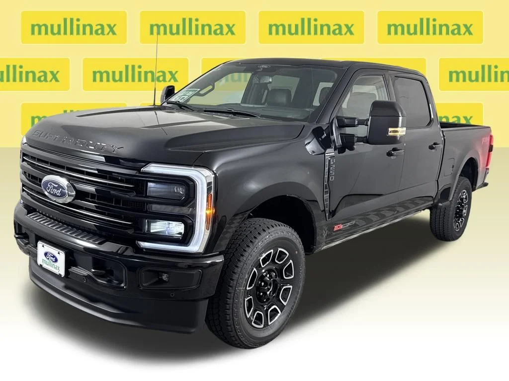 New 2026 Black Ford Platinum image 20