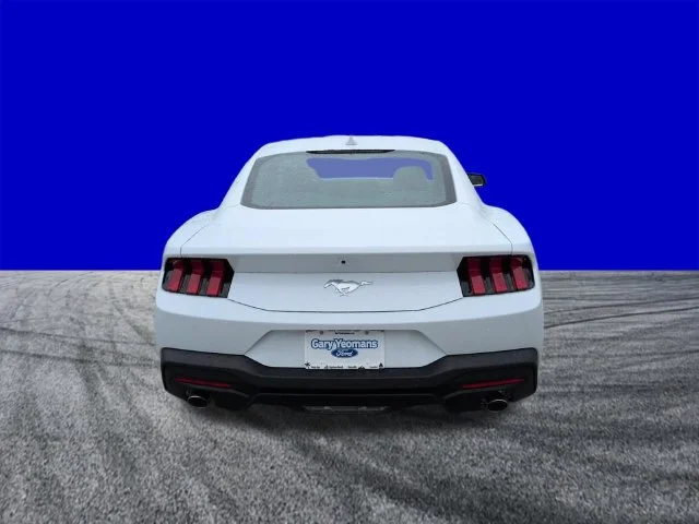 New 2026 Oxford White Ford EcoBoost® Premium Fastback image 5