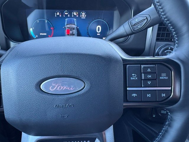 New 2027 Carbonized Gray Metallic Ford F-250® Platinum® image 29