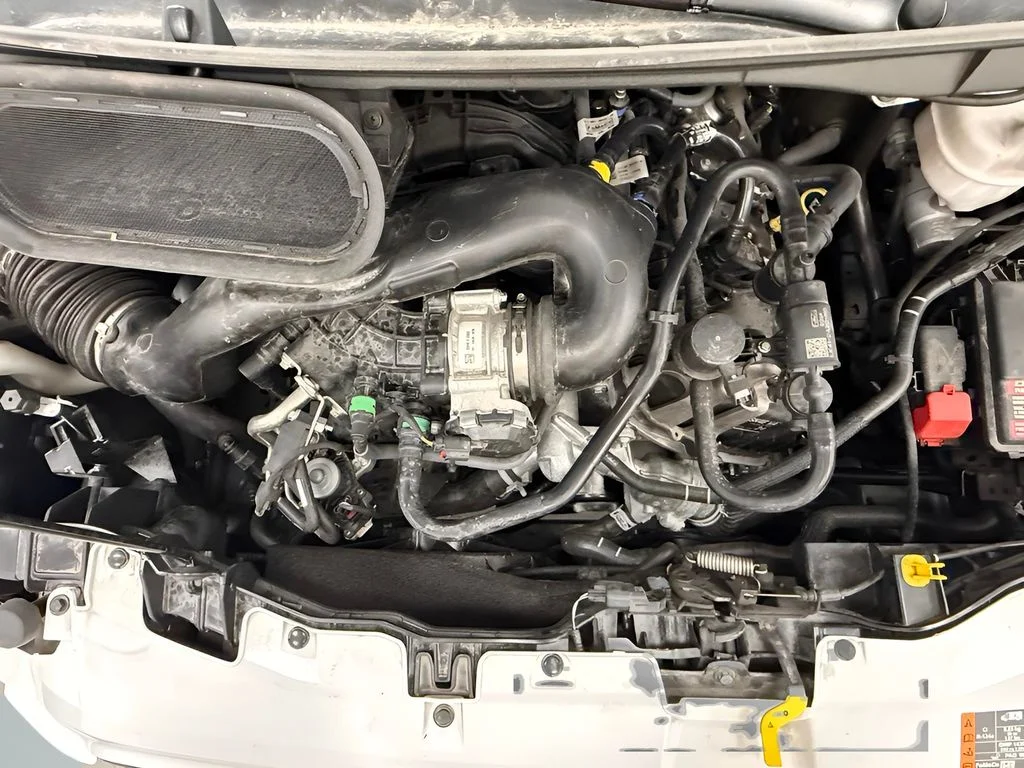 Used 2025 White Ford Base image 16
