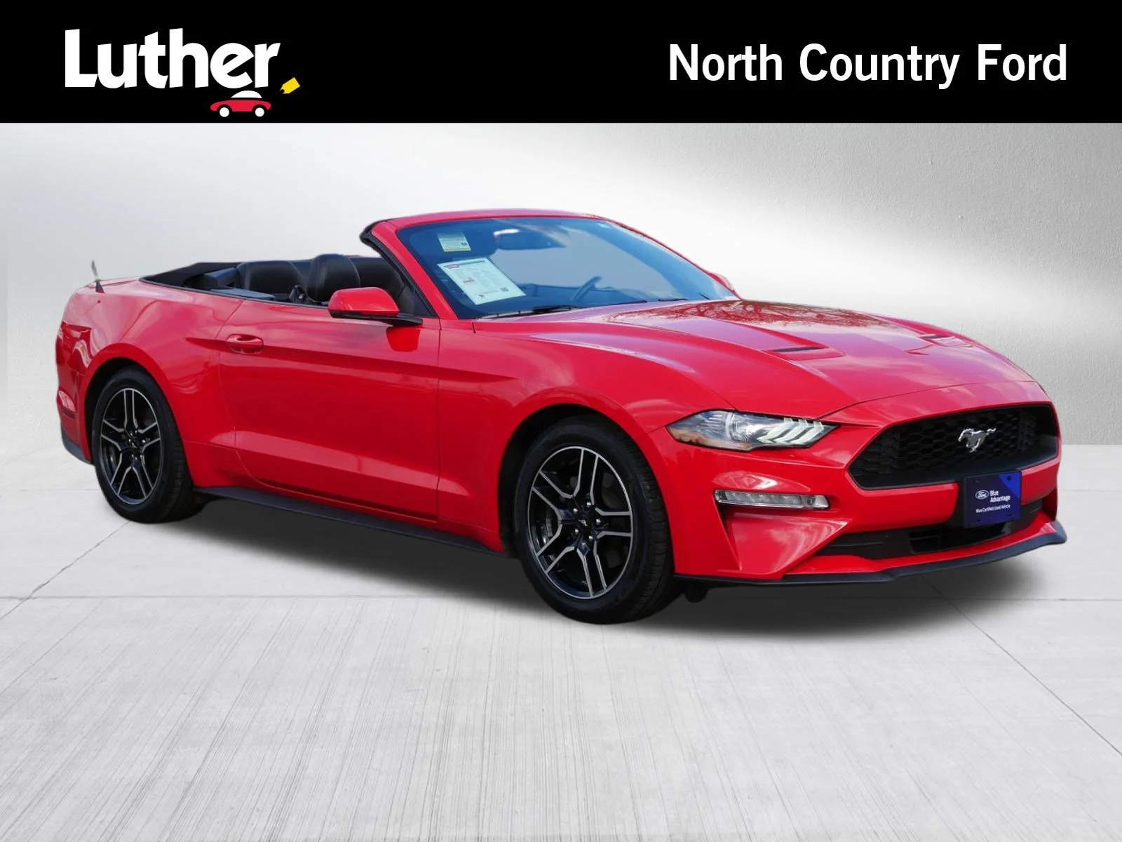 2020 Ford Mustang EcoBoost Premium Convertible's photo