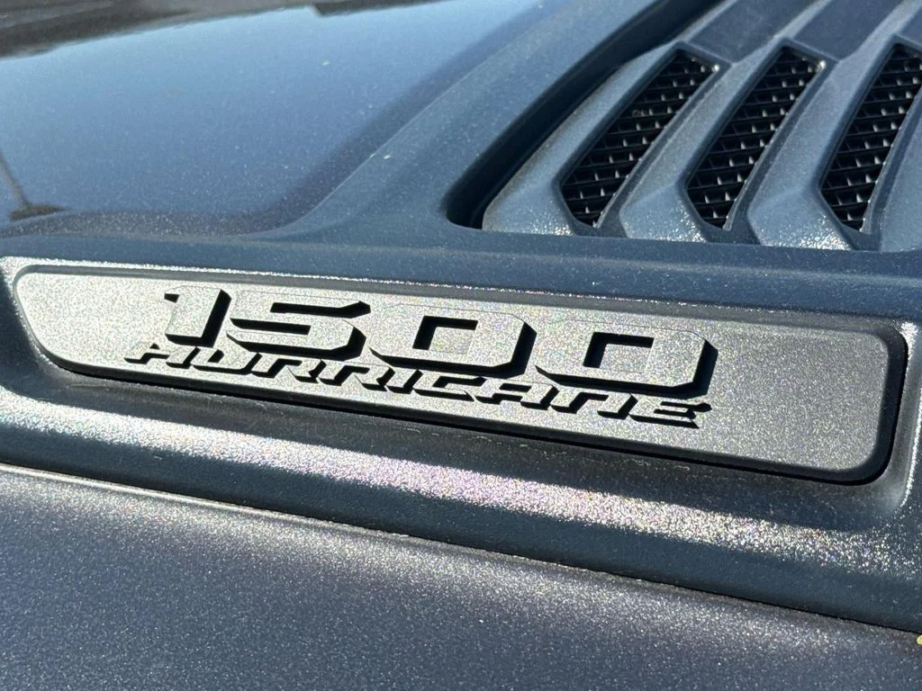 New 2026 Gray Ram Rebel image 10