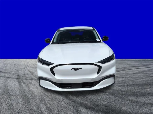 New 2026 Star White Metallic Tri-coat Ford Premium image 9