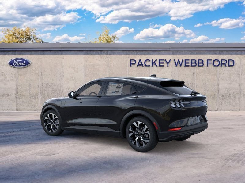 New 2026 Shadow Black Ford Select image 5
