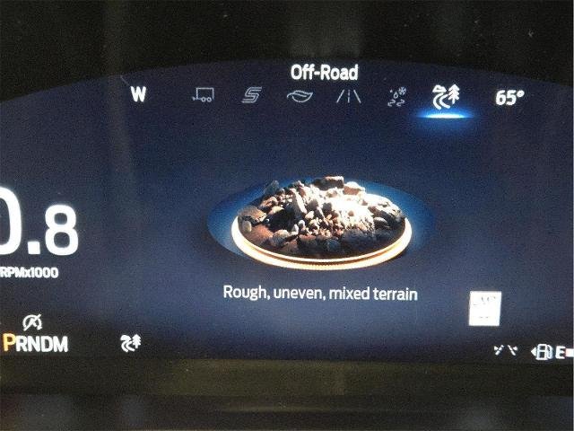 New 2026 Marsh Gray Ford Tremor® image 21