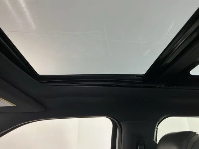 Used 2017 White Ford Platinum image 25