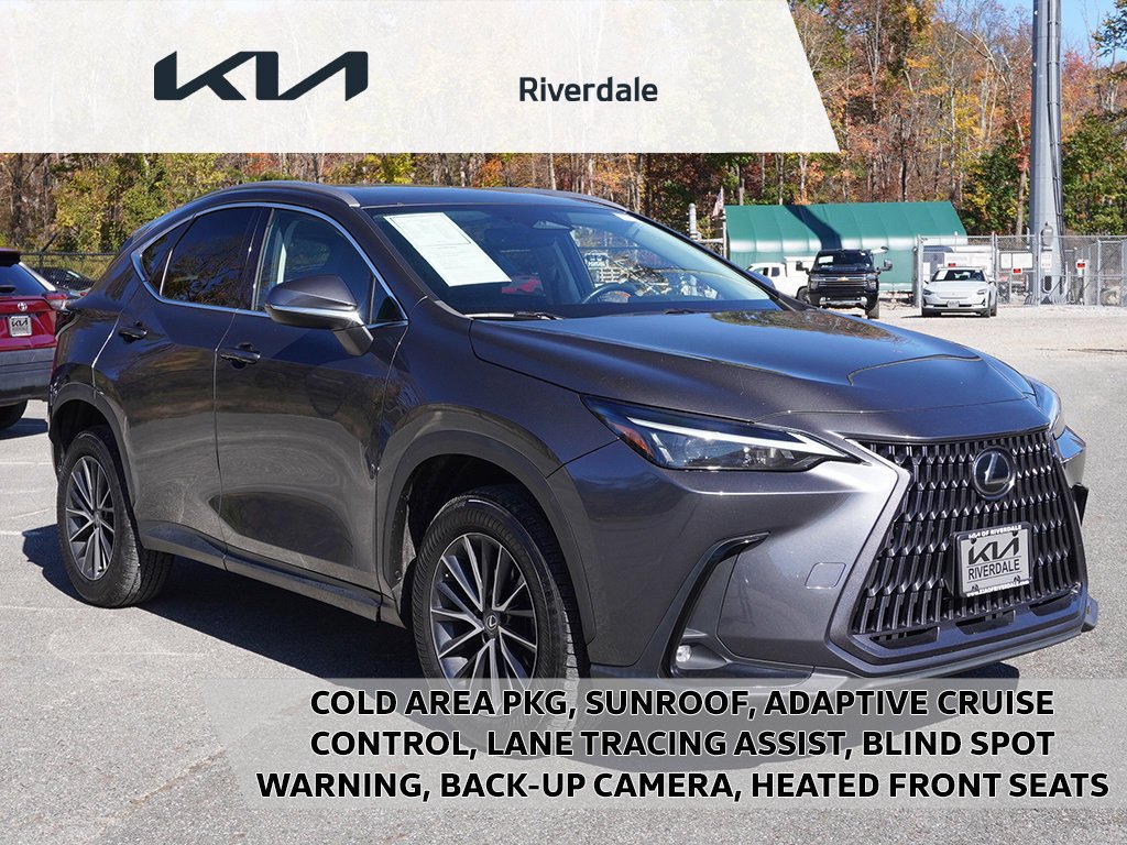 2022 Lexus NX