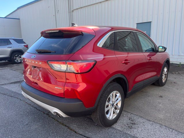 Used 2022 Rapid Red Metallic Tinted Clearcoat Ford SE image 4