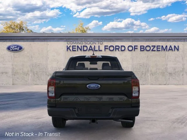 New 2026 Shadow Ford XL image 5