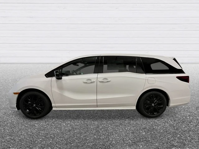 New 2026 Platinum White Pearl Honda Sport-L image 3