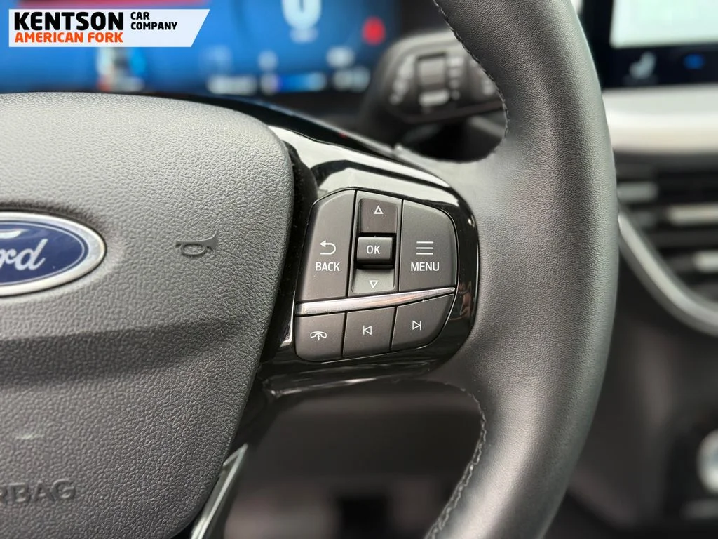 Used 2025 Black Ford Platinum image 20
