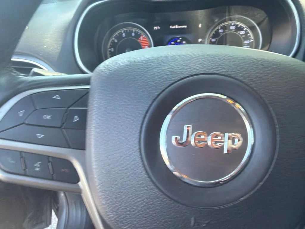 Used 2019 Gray Jeep Limited image 31
