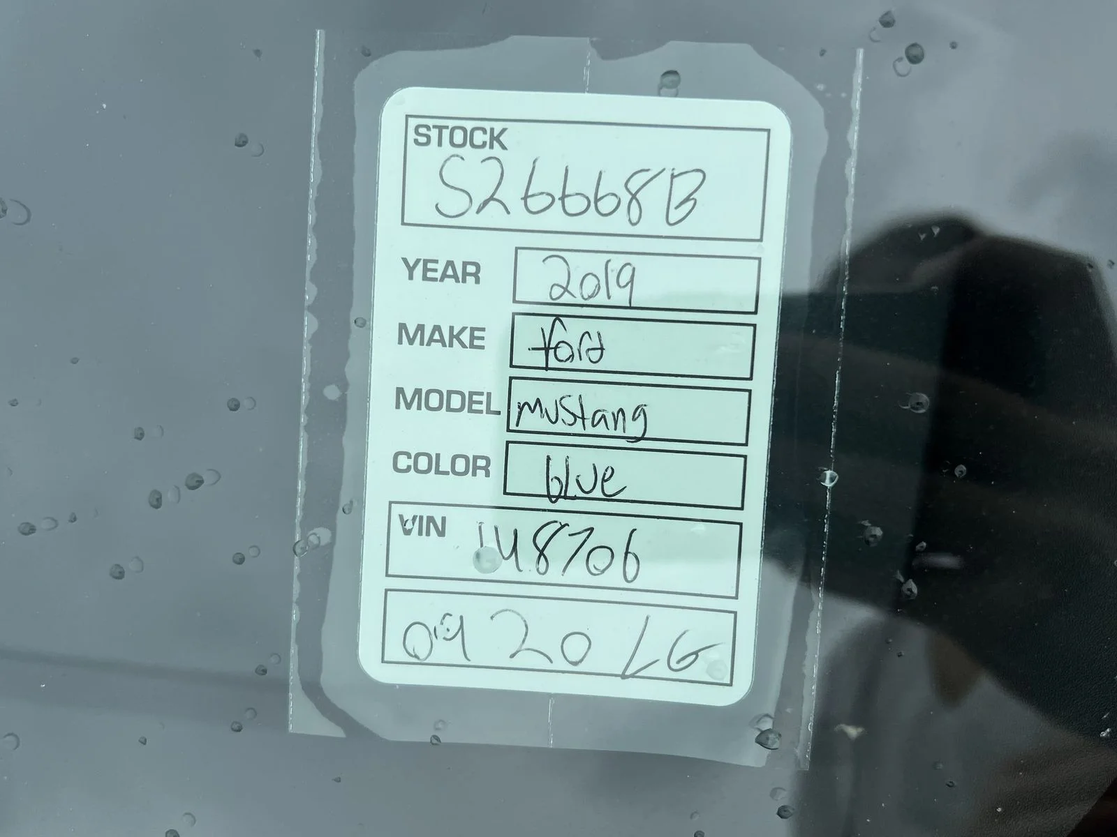 Used 2019 Blue Ford EcoBoost Premium image 3