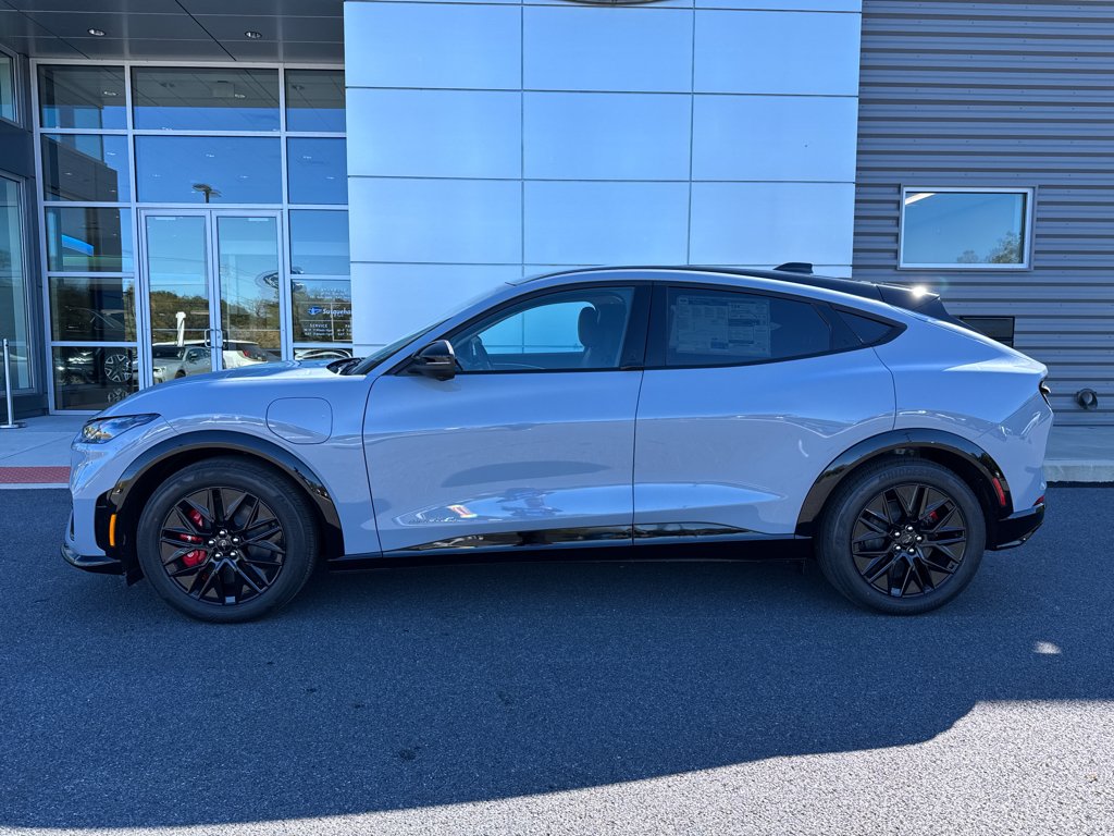 2025 Ford Mustang Mach-E Premium - Photo 11