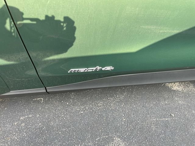 Used 2025 Eruption Green Metallic Ford Premium image 5