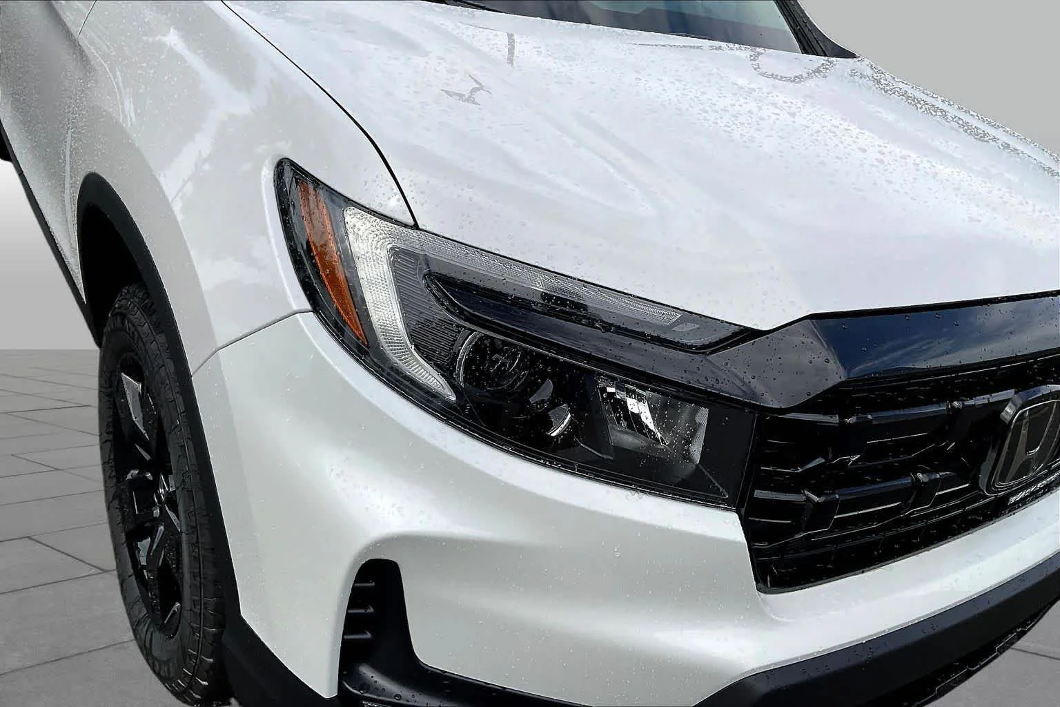 New 2026 Platinum White Pearl Honda Black Edition image 13