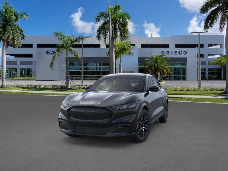 New 2026 Shadow Black Ford Premium image 17