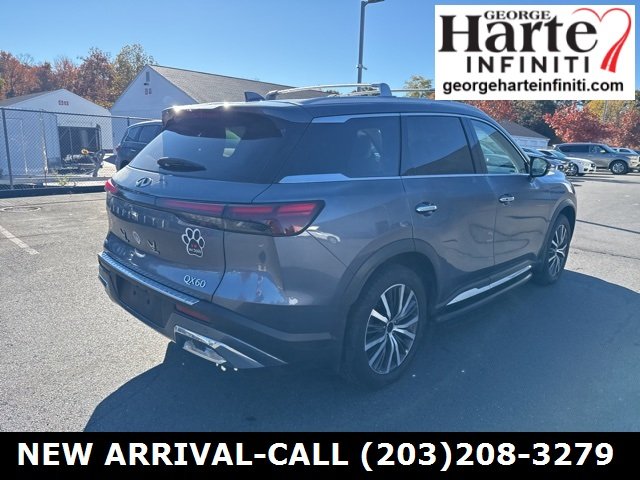 2022 Infiniti QX60 Sensory photo 3