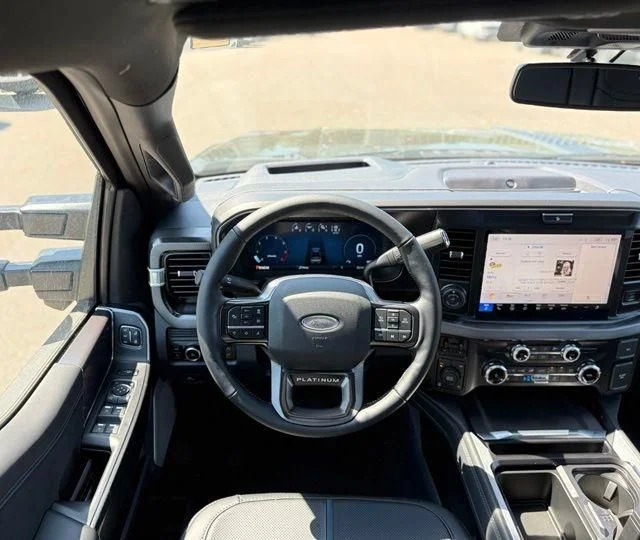 New 2026 Black Ford Platinum image 21