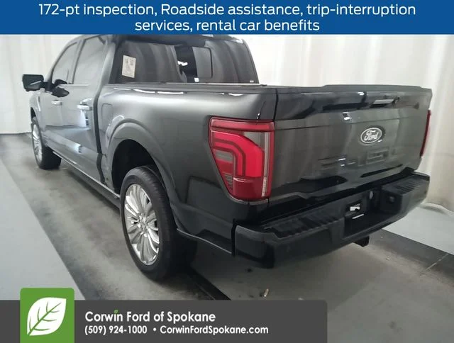 Used 2024 Black Ford Platinum image 3