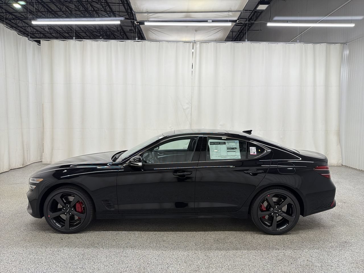 New 2027 Vik Black Genesis Standard image 6