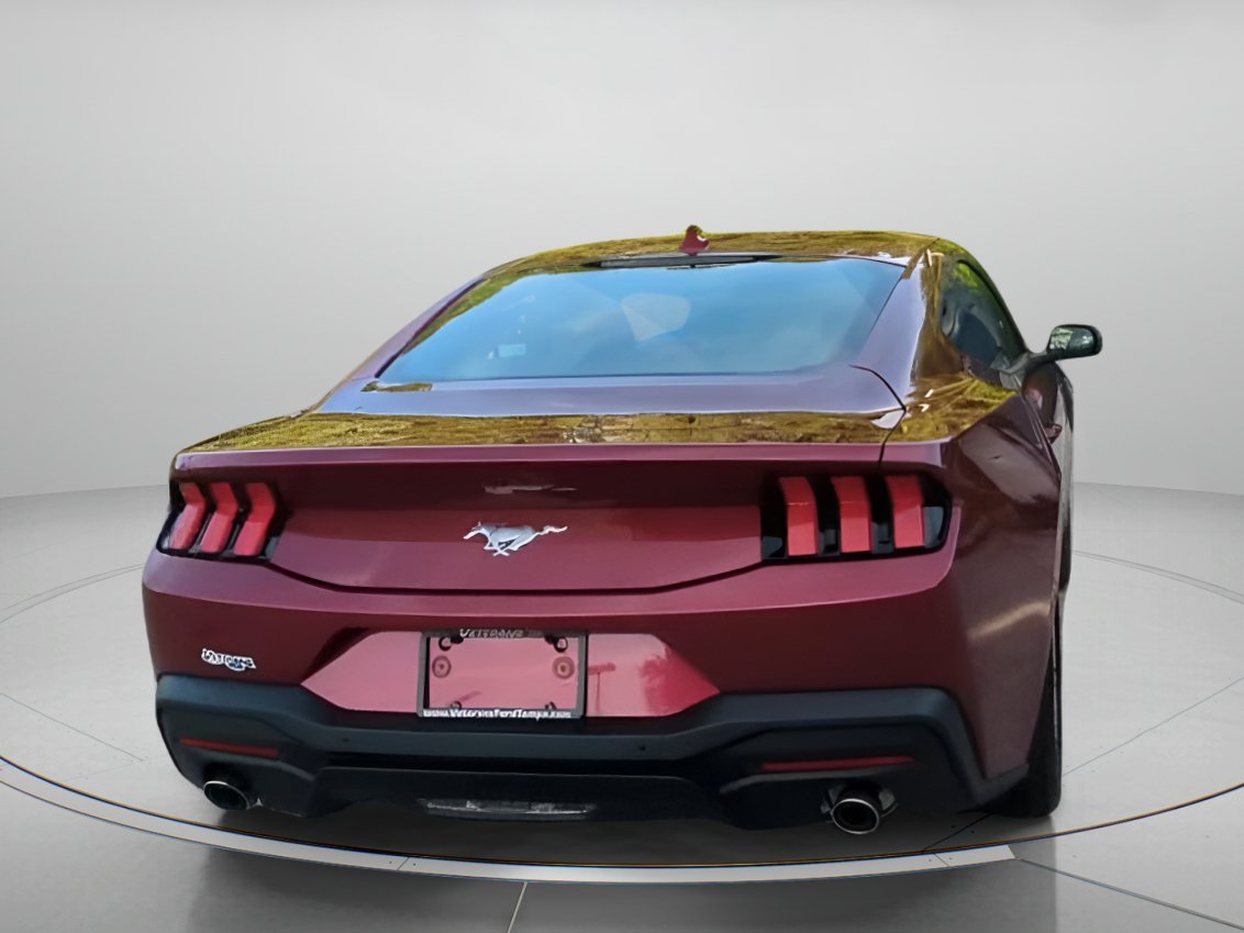 New 2026 Molten Magenta Metallic Tinted Clearcoat Ford EcoBoost® Fastback image 22