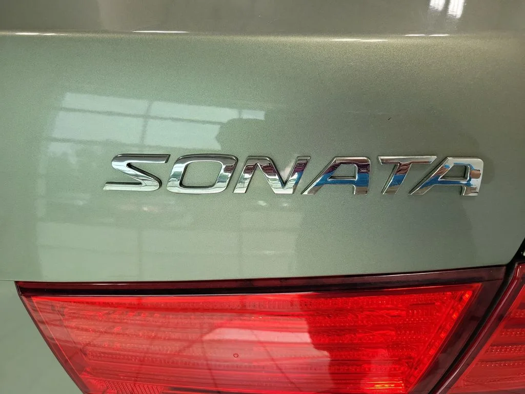 Used 2010 Beige Hyundai GLS image 12