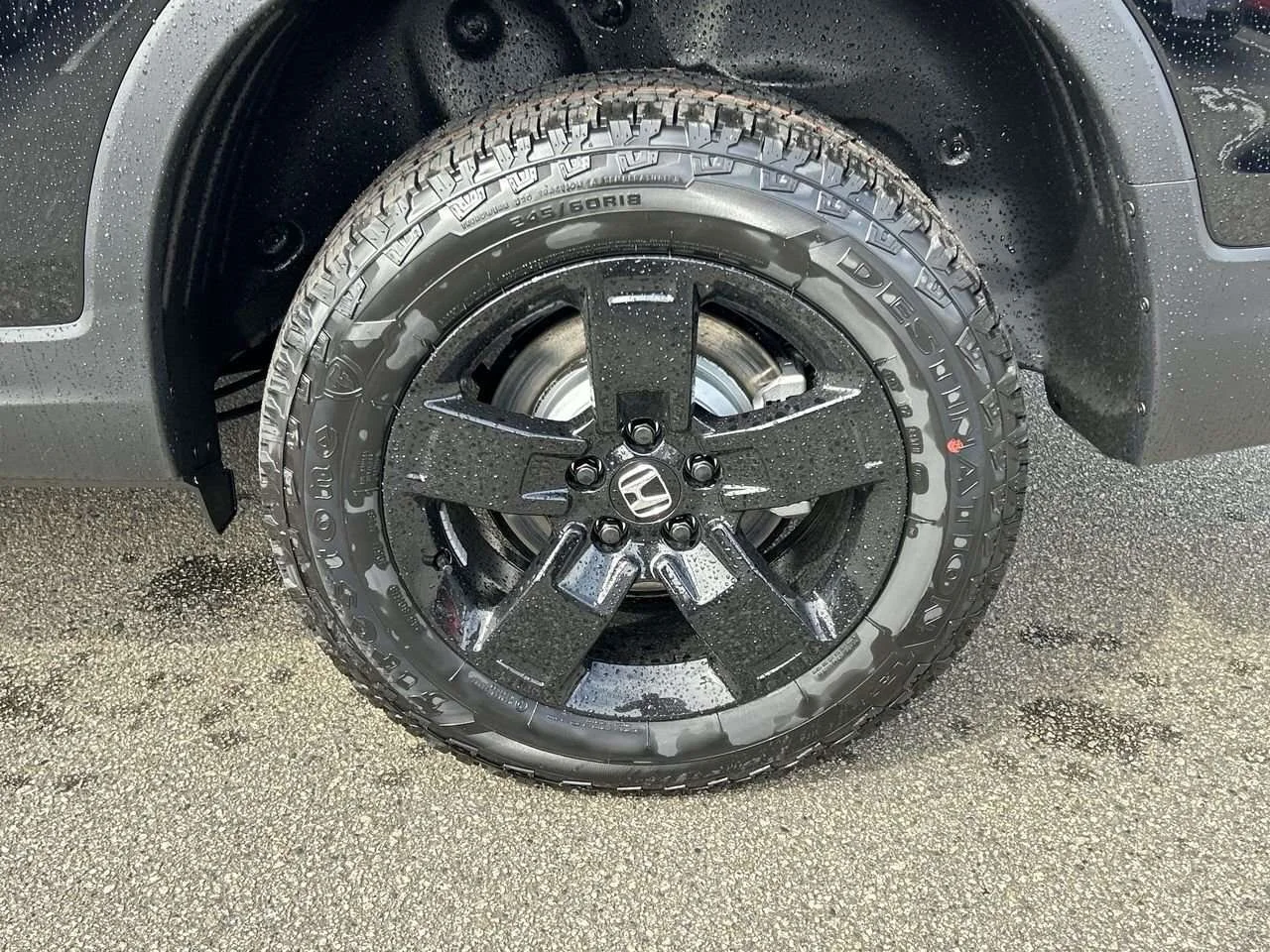 Certified Used 2025 Crystal Black Pearl Honda Black Edition AWD Certified Pre-Owned   No Acciden image 18