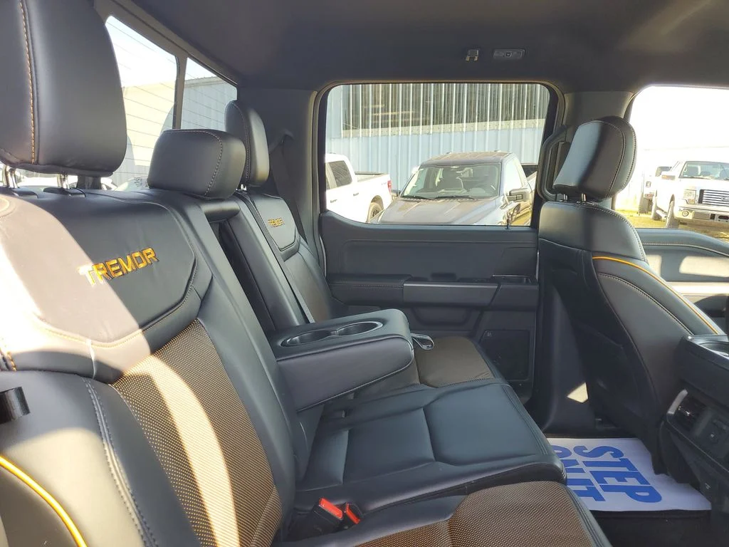 2025 Ford F-150 Tremor - Photo 31