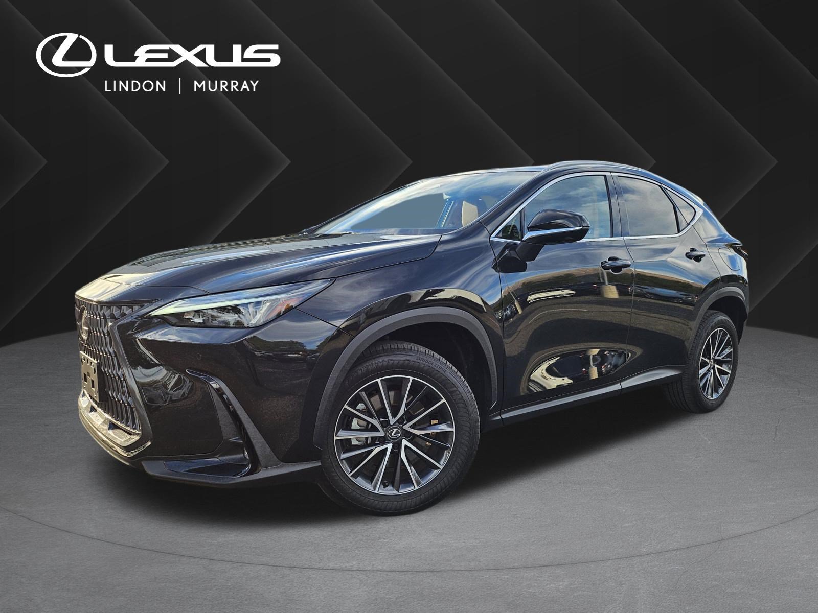 2025 Lexus NX Hybrid