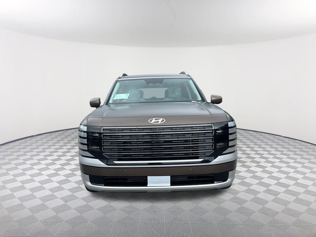 New 2026 Earthy Brass Matte Hyundai Calligraphy image 2