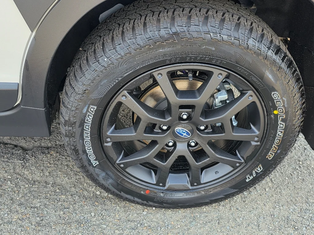 2025 Subaru Crosstrek Wilderness - Photo 6