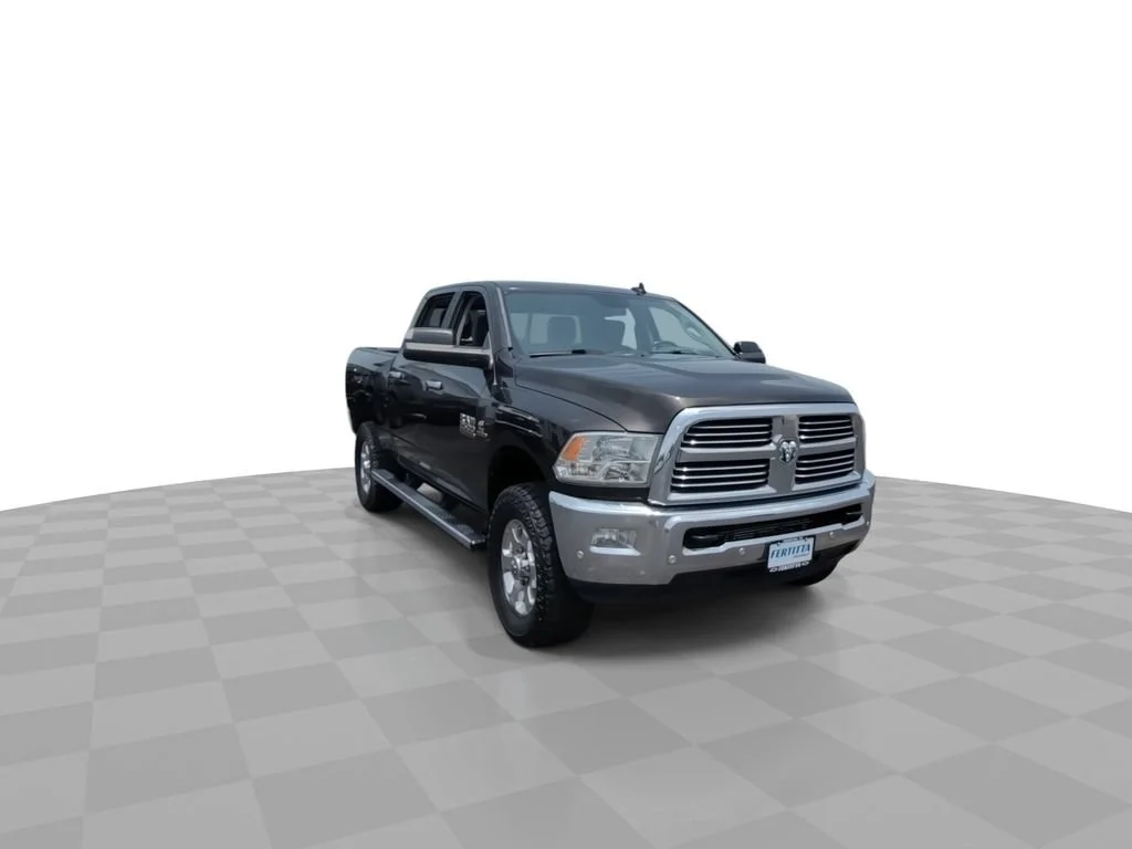 Used 2017 Brown Ram Lone Star image 2