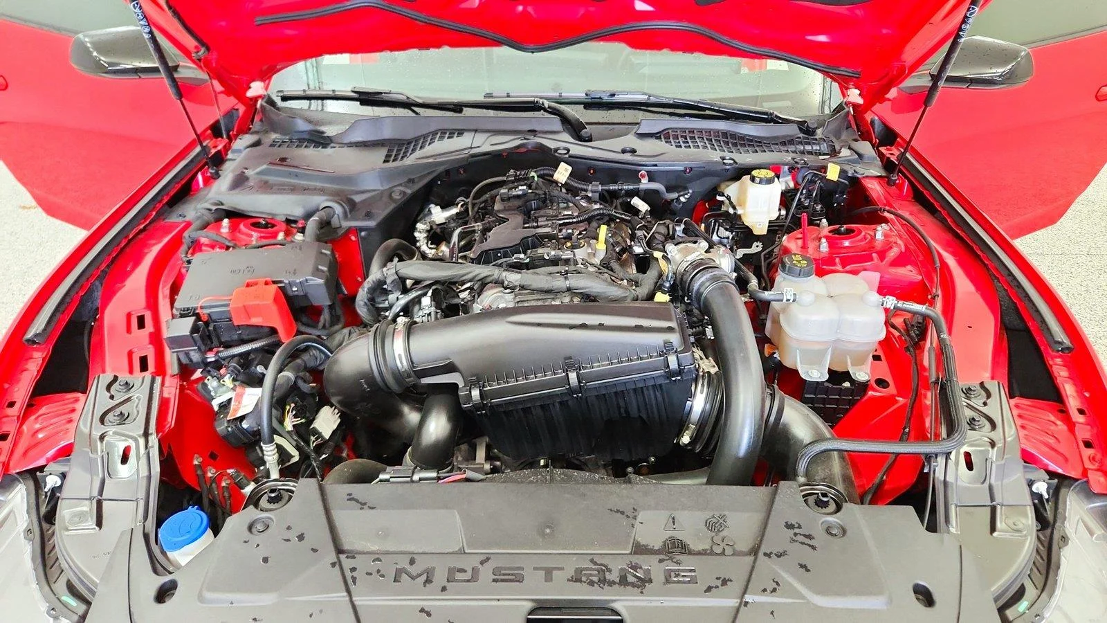 Used 2025 Race Red Ford EcoBoost image 43