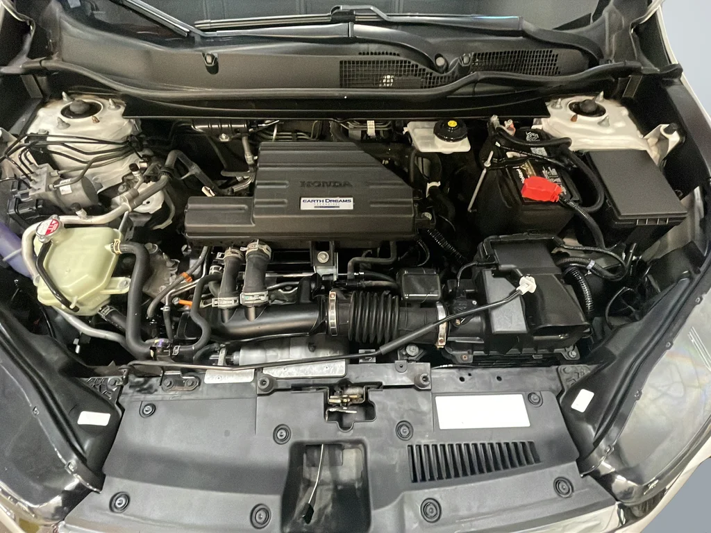 Used 2019  Honda EX-L image 39