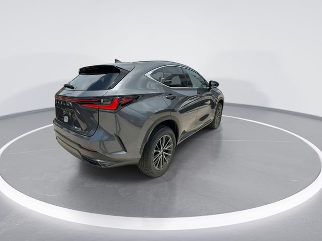 2025 Lexus NX 250 - Photo 8
