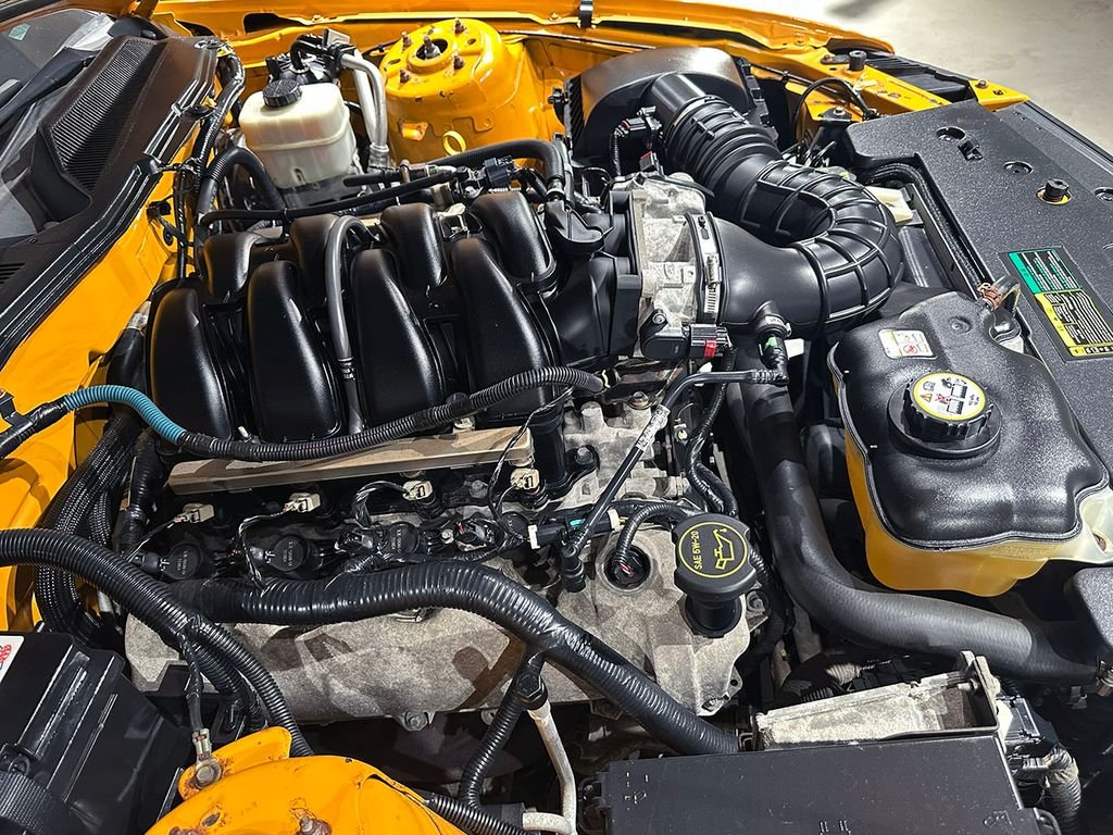 Used 2007 Orange Ford  image 27