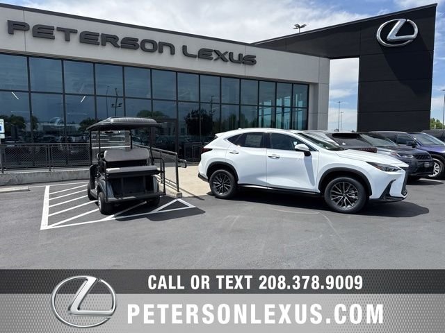 2026 Lexus NX 350 350 AWD's photo