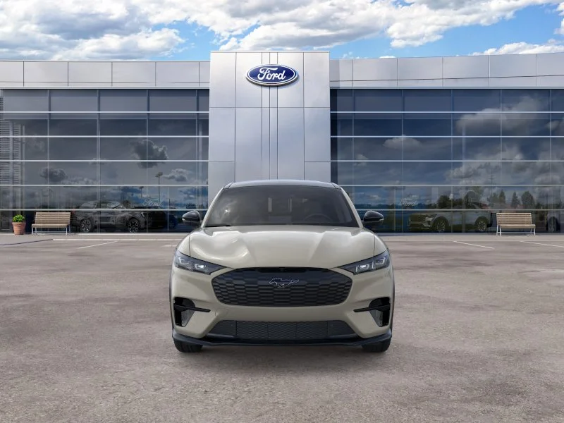 New 2026 Desert Sand Ford Premium image 6