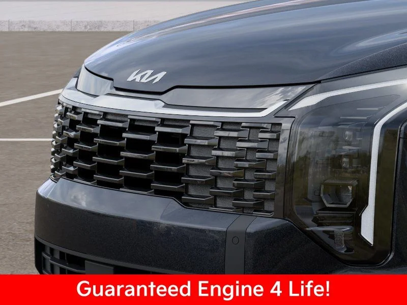 New 2026 Panthera Metal Kia EX image 14