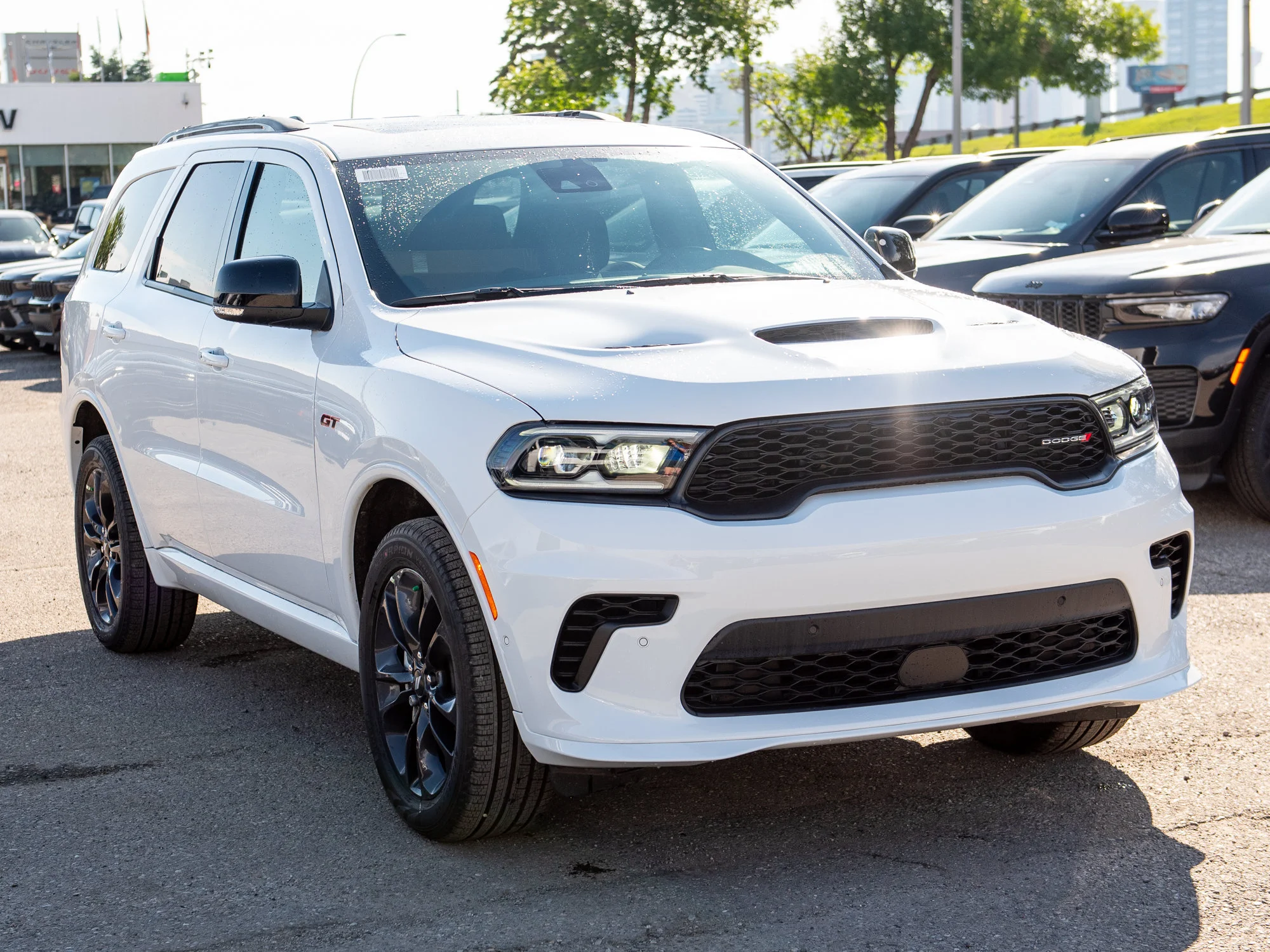 New 2026 White Dodge GT Plus* image 6