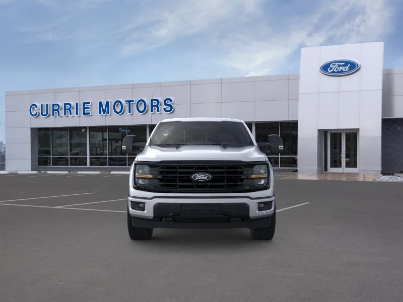New 2026 Iconic Silver Metallic Ford LIFTED image 26