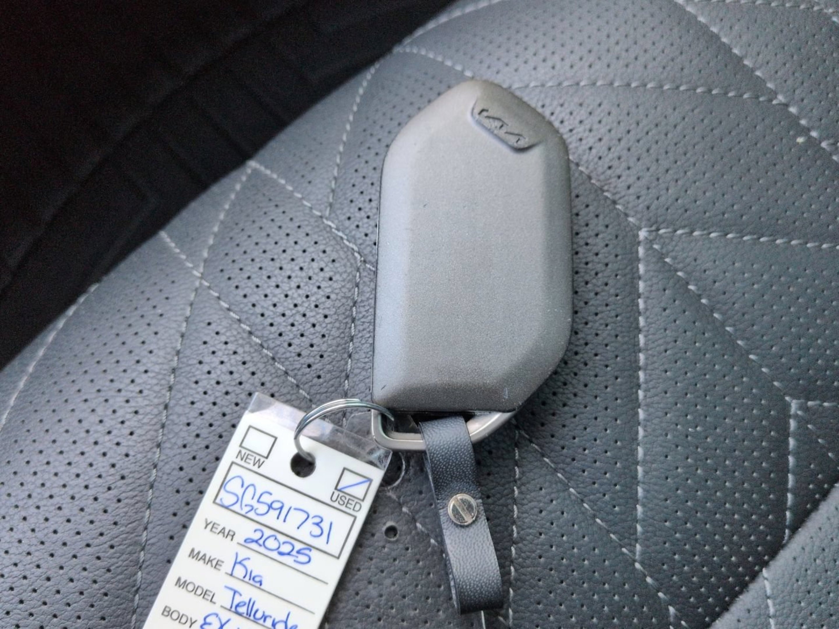 Certified Used 2025 Panthera Metal Kia EX X-Line image 31