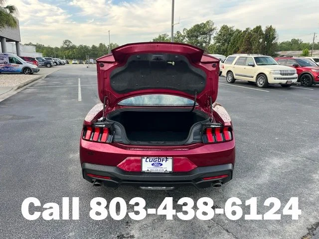 New 2026 Molten Magenta Metallic Tinted Clearcoat Ford EcoBoost® Fastback image 18