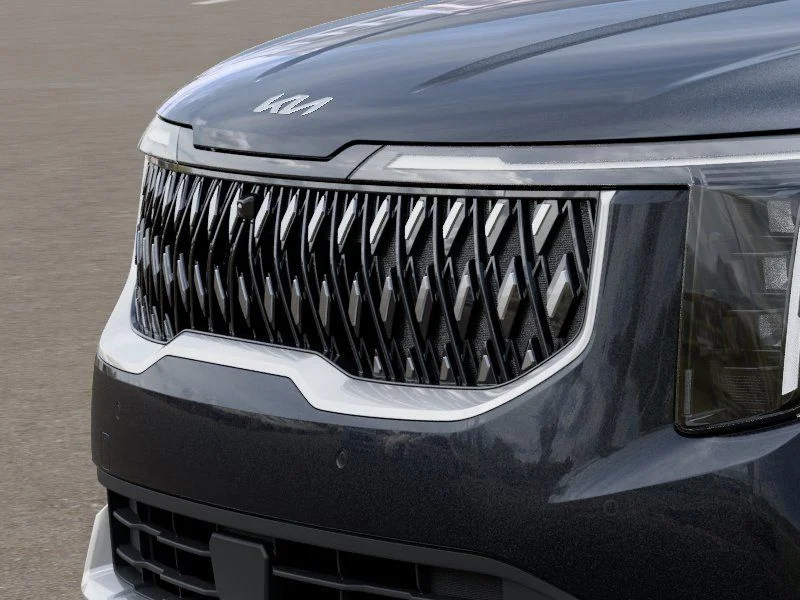 New 2026 Panthera Metal Kia LXS image 13